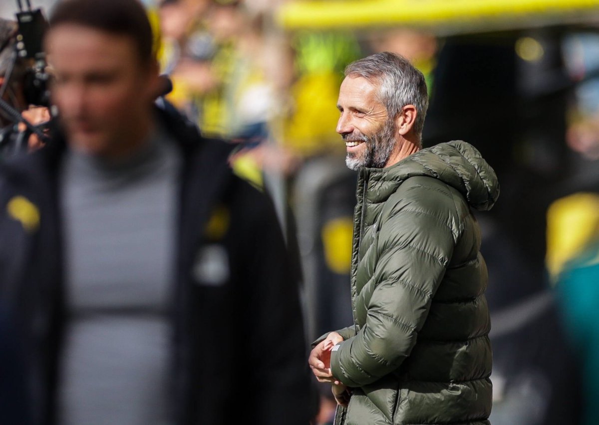 borussia-dortmund-rose.jpg