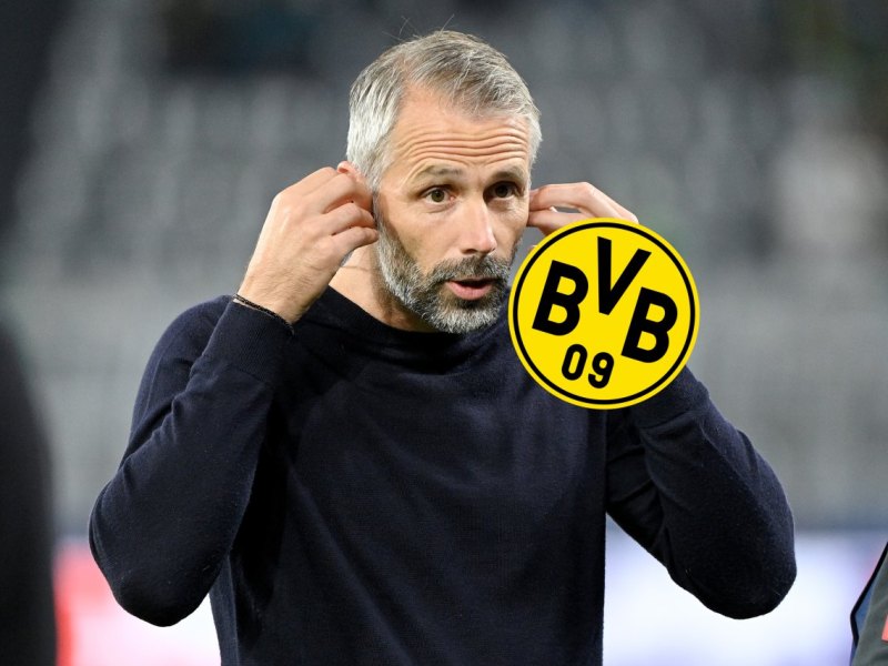 borussia-dortmund-rose.jpg