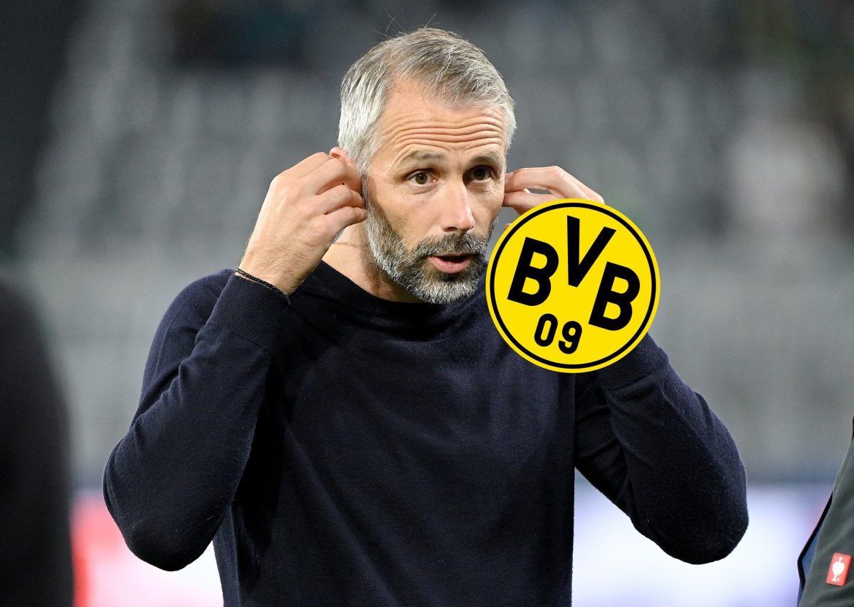 borussia-dortmund-rose.jpg