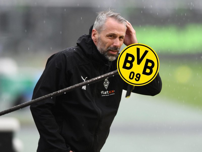 borussia-dortmund-rose.jpg