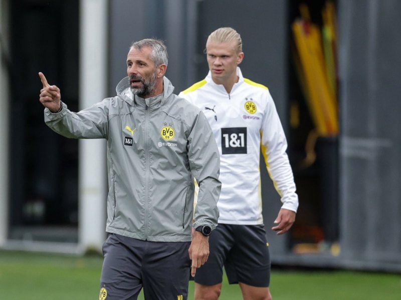 borussia-dortmund-rose.jpg