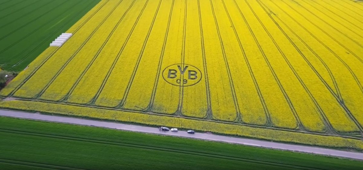 bvb-borussia-dortmund-logo-feld-rapsfeld