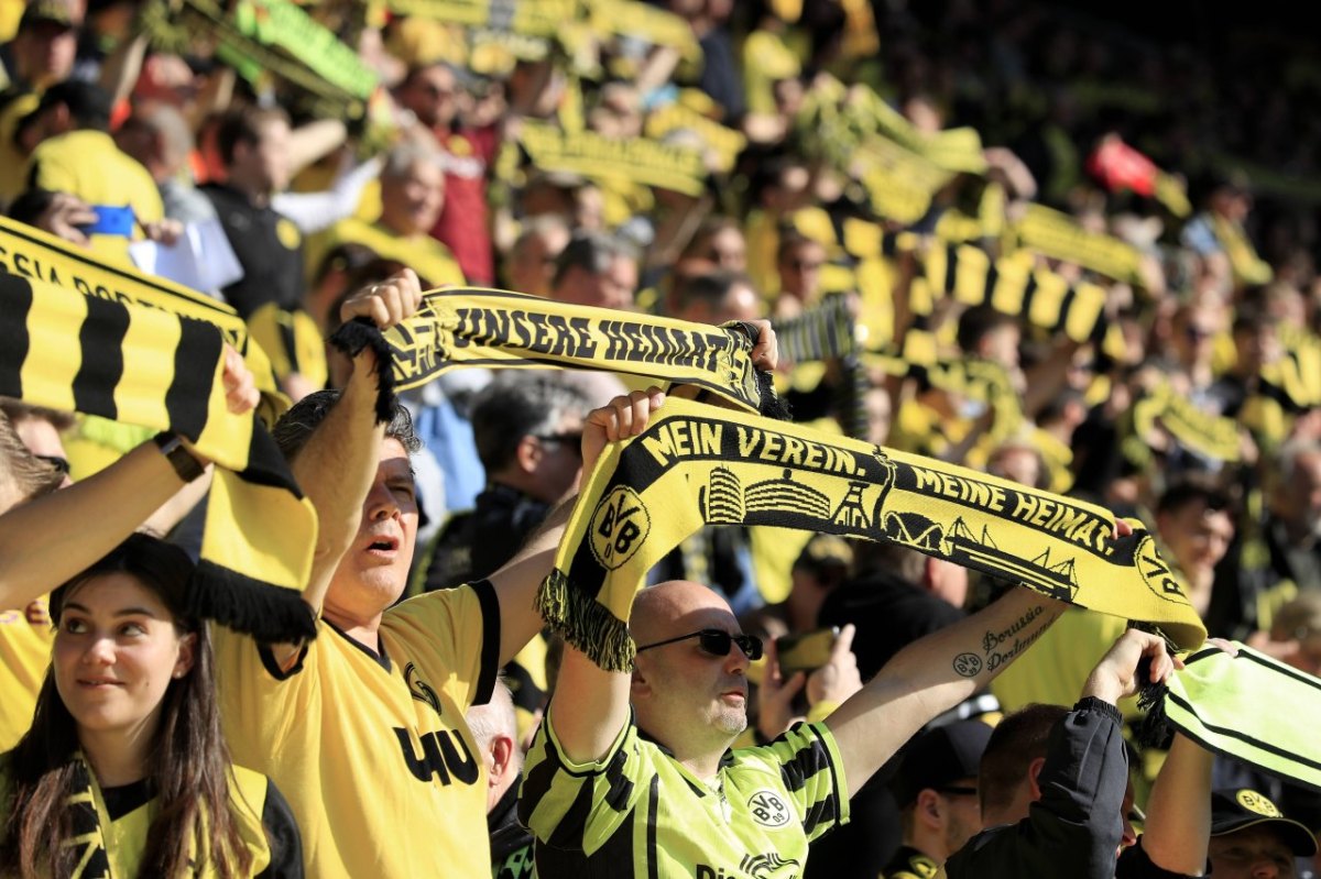 bvb-borussia-dortmund-mainz