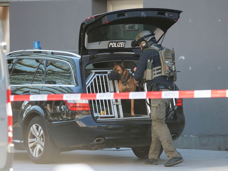 Mindestens ein Polizeihund kam zum Einsatz.