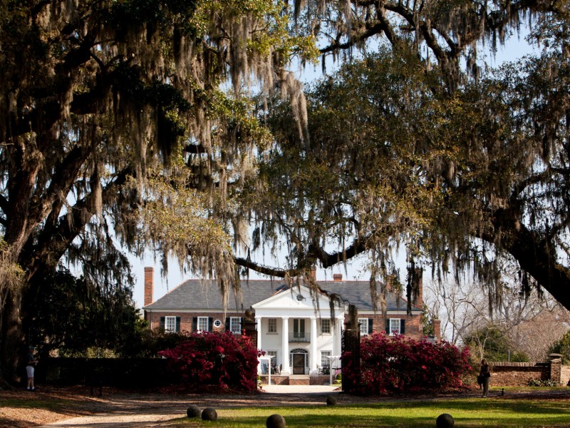 Die Boone Hall Plantation mit dem 1936 neu gebauten Herrenhaus kennen viele Touristen unter dem Namen Mont Royal aus der Serie Fackeln im Sturm.