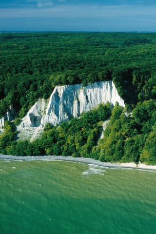  Die Kreidefelsen im Nationalpark Jasmund auf Rügen häufig ab. So ändert sich das Gesicht der Steilküste immer wieder. 