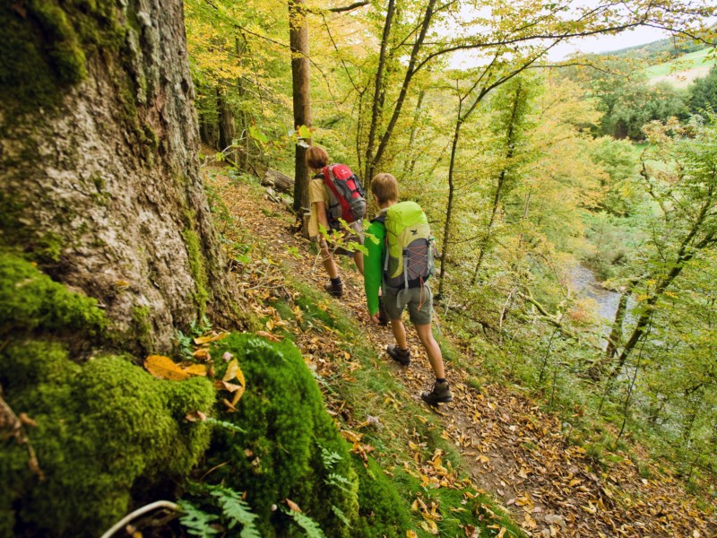 Auf den Spuren der Pilger durch die Kroppacher Schweiz