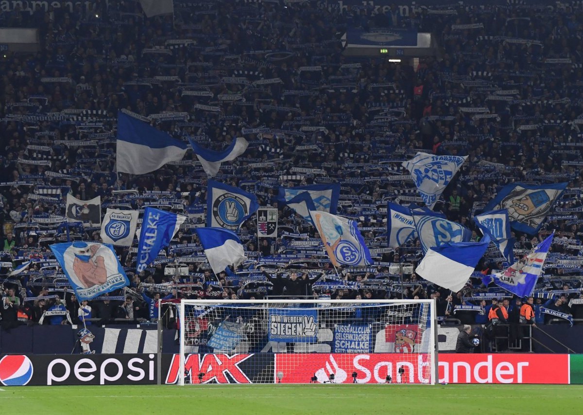 fc-schalke-04-fans