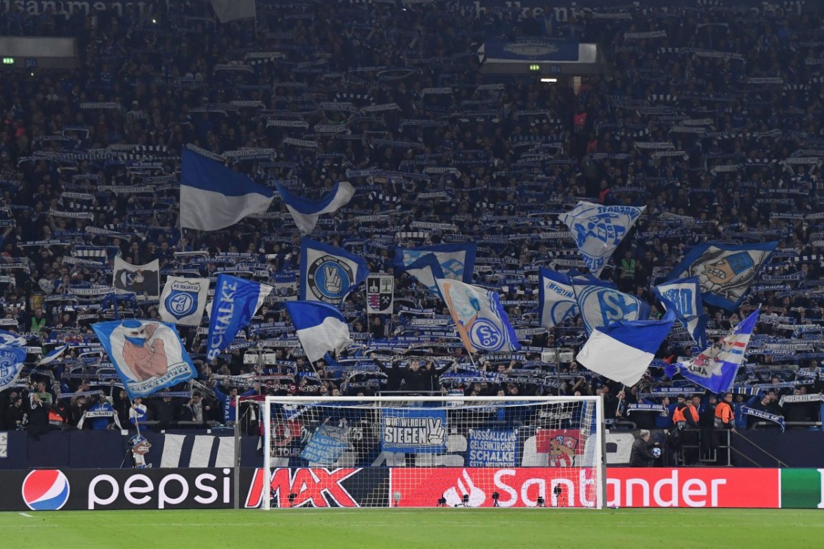 fc-schalke-04-fans