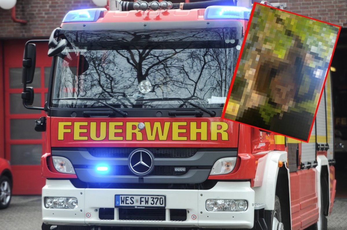 feuerwehr eule.JPG