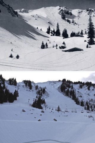 Auf dem einst weitgehend baumfreien Gipfelhang des Brauneck bei Lenggries wachsen mittlerweile viele Bäume, der früher kahle Nordgrat ist mittlerweile bewachsen. Die auf der historischen Aufnahme im Vordergrund sichtbare Garland-Alm musste vor einigen Jahren einem Speicherteich für das örtliche Skigebiet weichen.