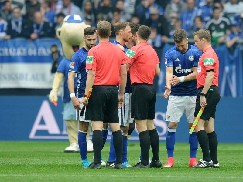 Doch in der Schlussphase will Schalke einen Handelfmeter. S04 diskutiert kurz nach Abpfiff mit Schiedsrichter Zwayer. Im Hintergrund steht Erwin. Das Maskottchen hat bereits eine Mission.