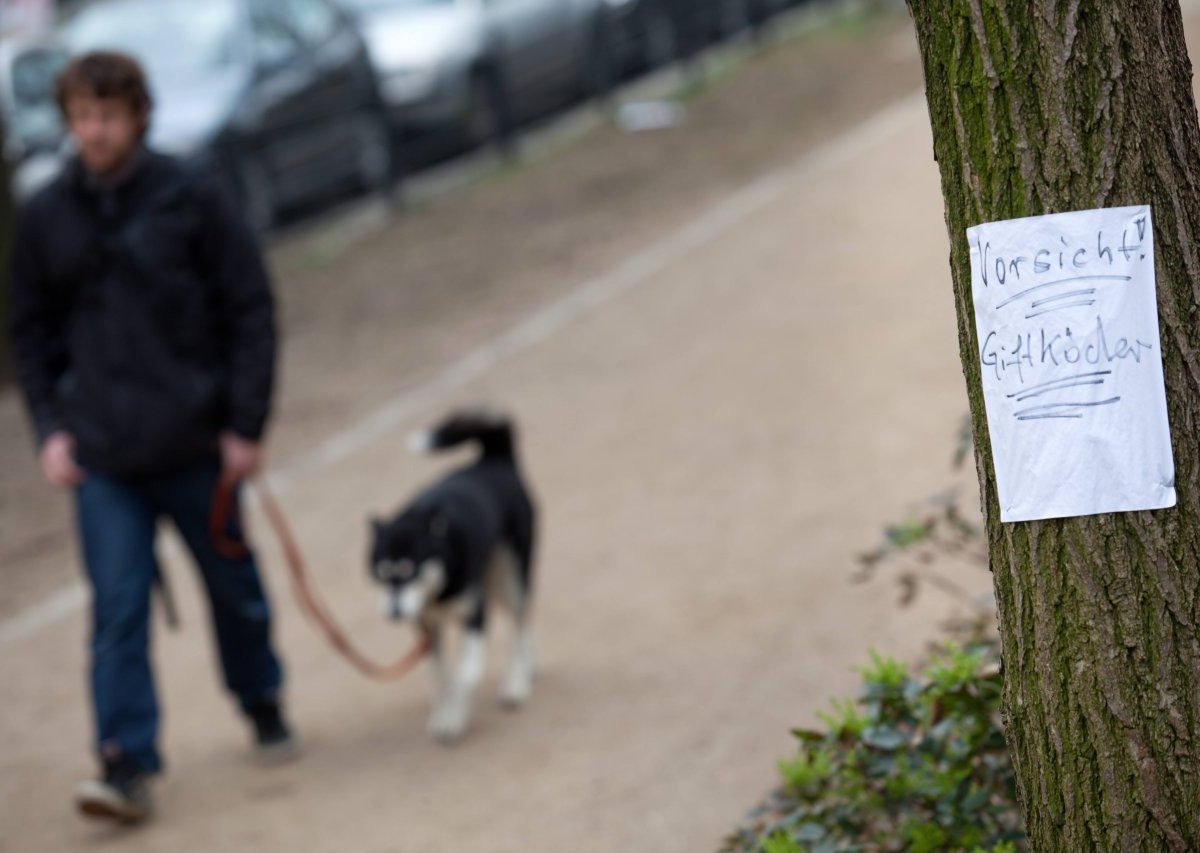 giftköder hund.jpg