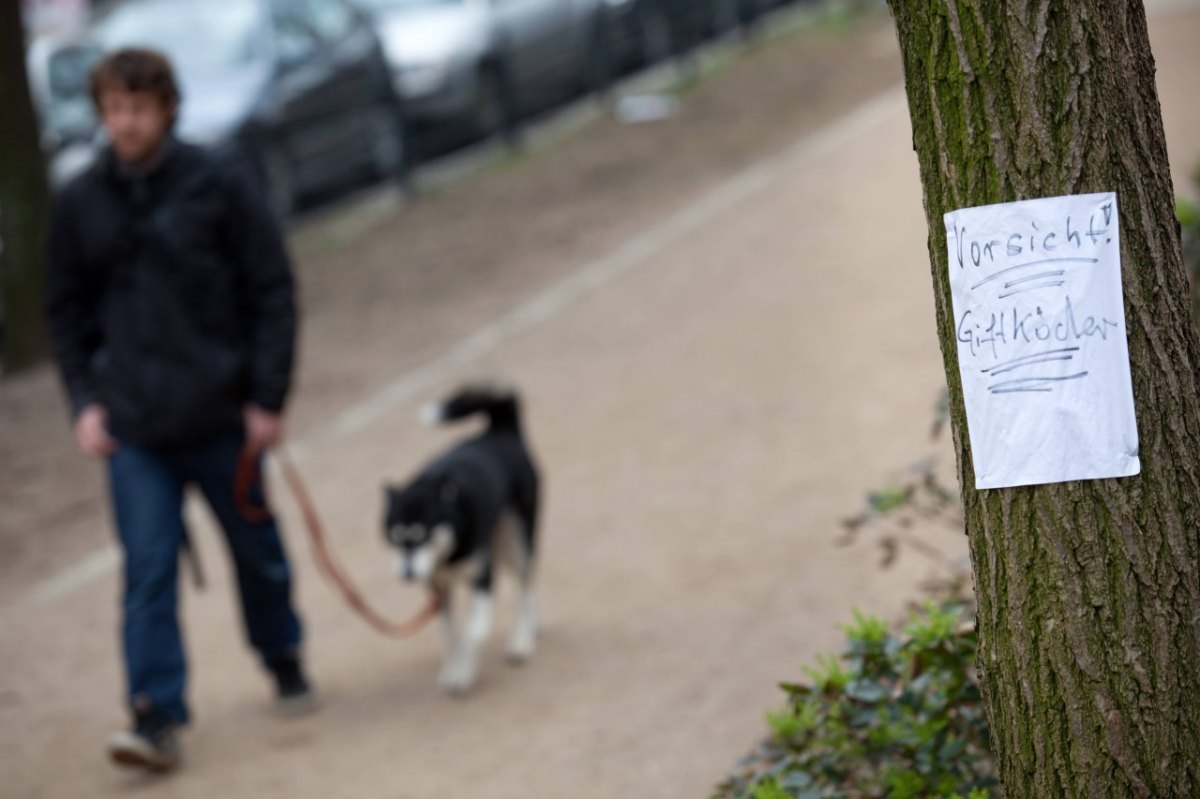 giftköder hund.jpg