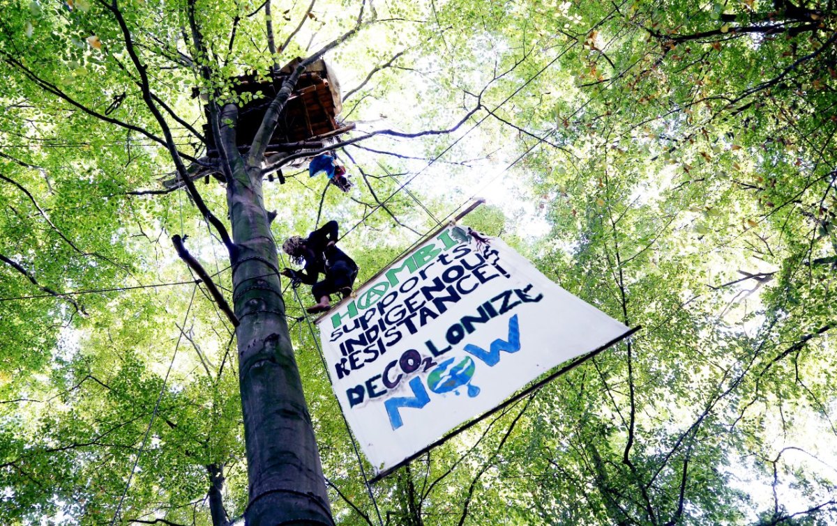 hambacher-forst-aktivisten.jpg