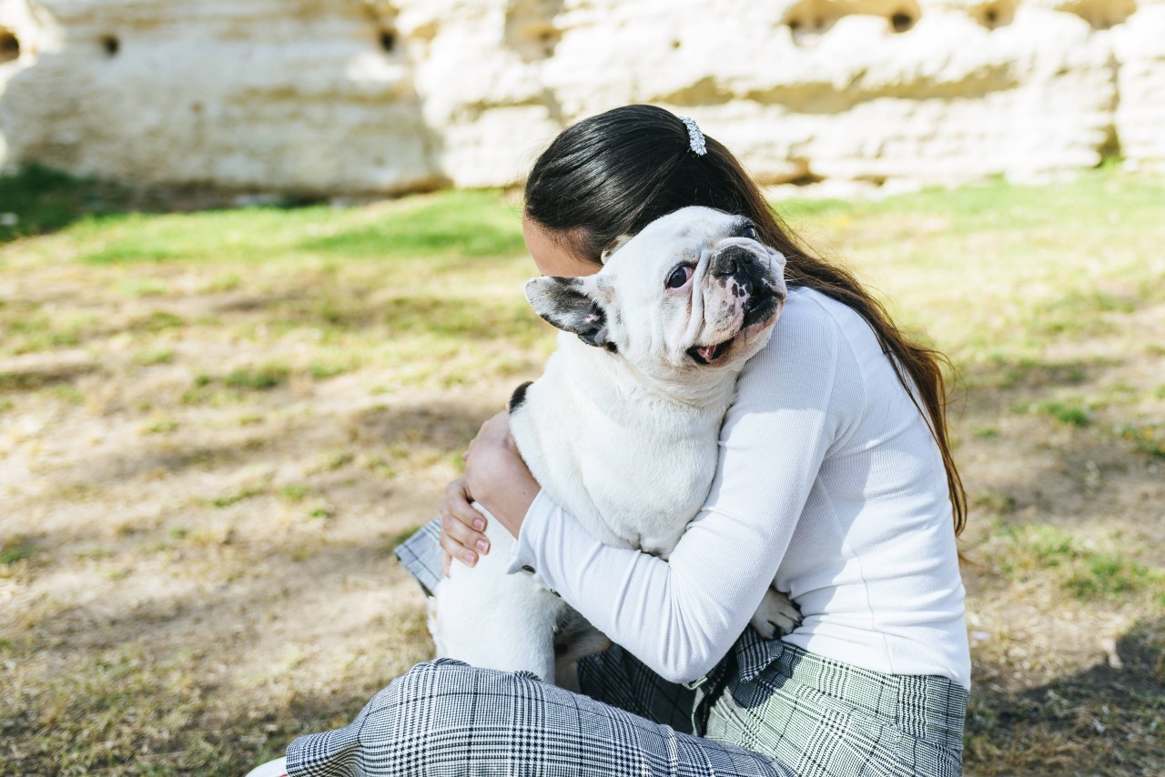 Die Frau aus NRW wollte nur mit ihrer Bulldogge eine Runde drehen, als sie angegriffen wurden. (Symbolbild)