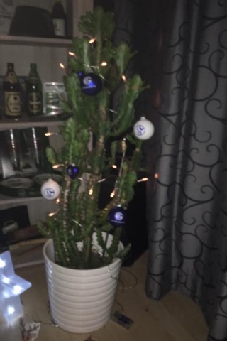 Dieser Weihnachtsbaum verliert auf jeden Fall keine Nadeln. Vielen Dank an Kai Haeger.