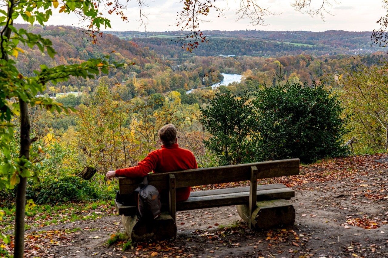 In Essen genießt man einen wunderbaren Blick auf die Ruhr, wenn man den Panoramasteig in Kettwig erklimmt. 