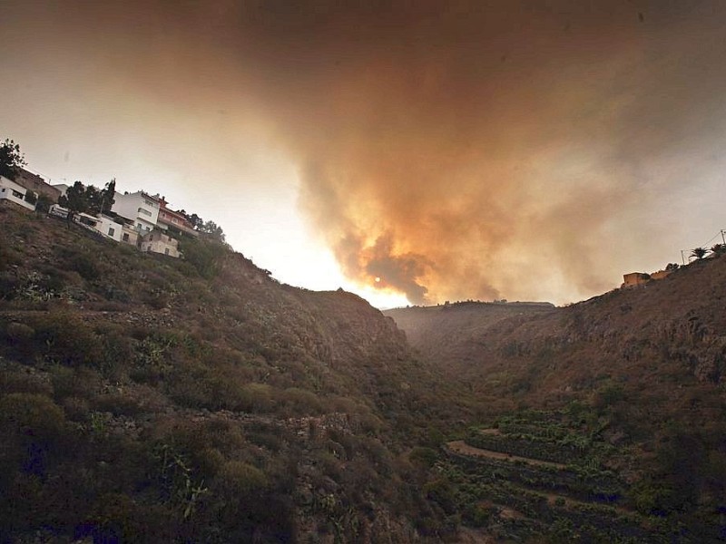 ...Brand auf das Gebiet des Naturparks selbst übergreift.  Der 19.000 Hektar große Park...