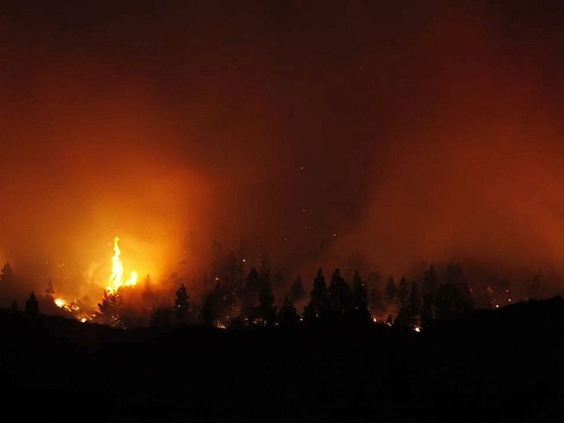 Waldbrand auf Teneriffa.