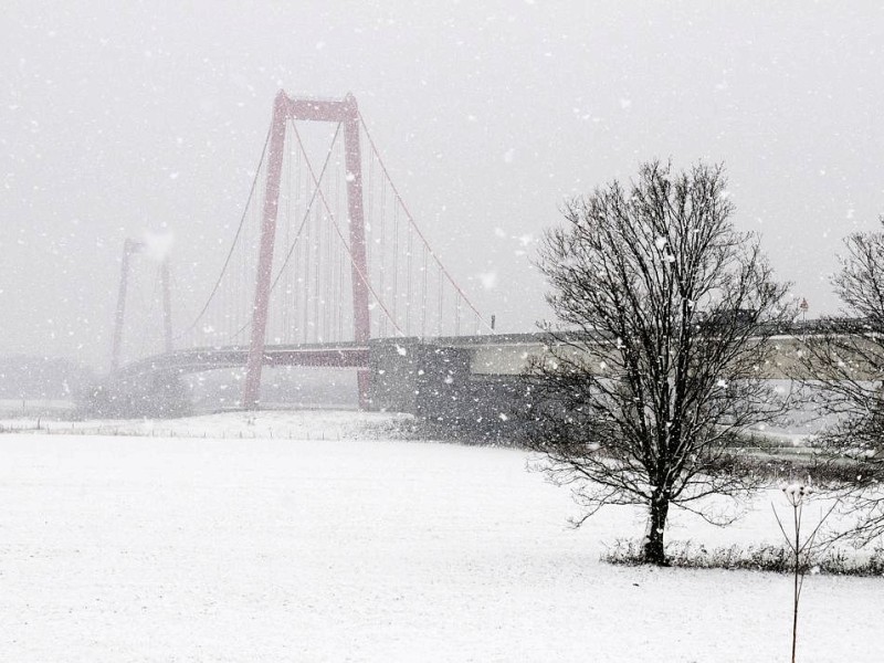 Morgens Neuschnee, mittags nur noch Matschschnee im Emmericher Eyland nahe der  Rheinbrücke.