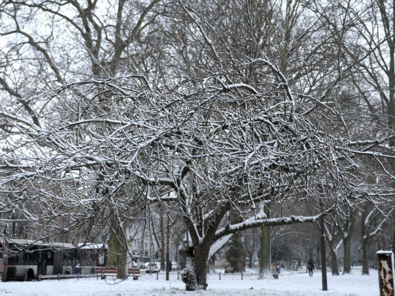 Am 7. Dezember 2012 schneit es in Duisburg. Die Bahnhofsplatte und der Kantpark liegen unter Schnee.Foto: Sinan Sat WAZ FotoPool