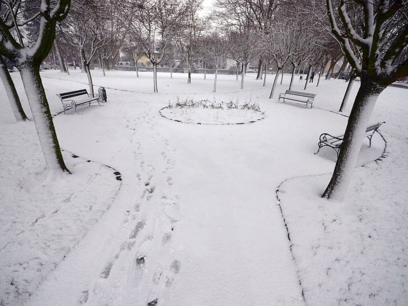 Schneebilder aus Rees, Stadtgarten, 7.12.2012Foto: Konrad Flintrop / WAZ FotoPool