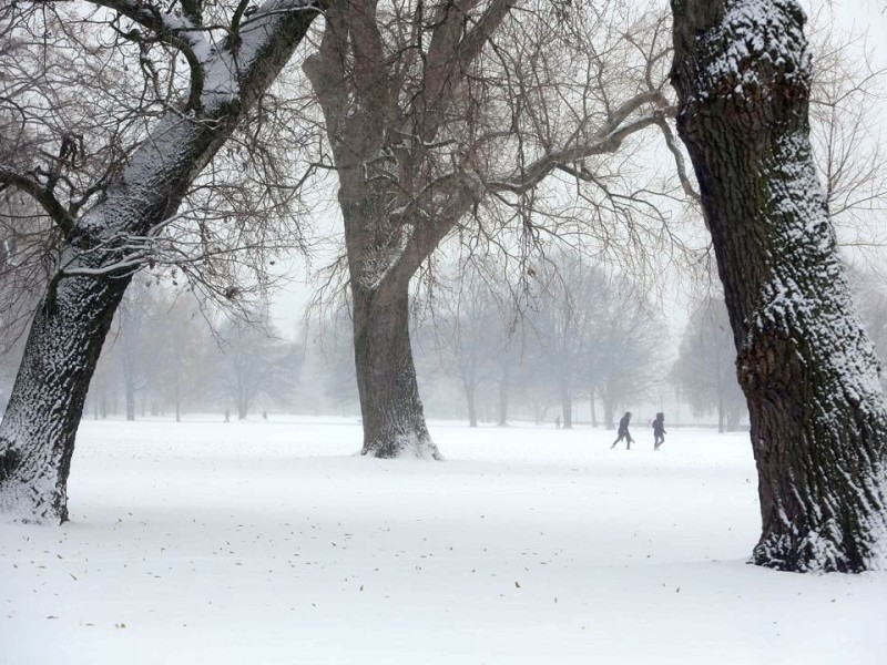 Auch in Düsseldorf schneite es am Freitag. Foto: Stefan Arend / WAZ Fotopool