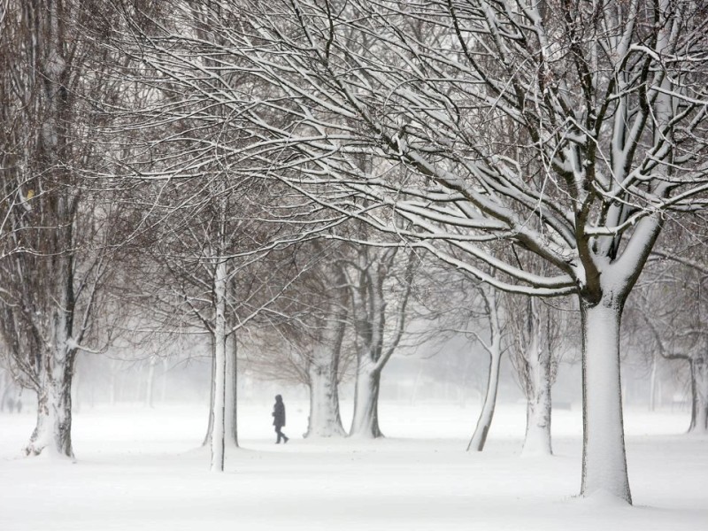 Auch in Düsseldorf schneite es am Freitag. Foto: Stefan Arend / WAZ Fotopool