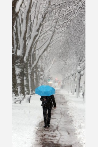 Auch in Düsseldorf schneite es am Freitag. Foto: Stefan Arend / WAZ Fotopool