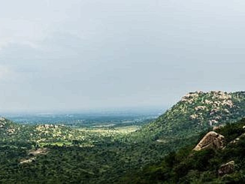 Lizzy Geble aus Hagen fotografiert und filmt derzeit in Indien für die Unesco.