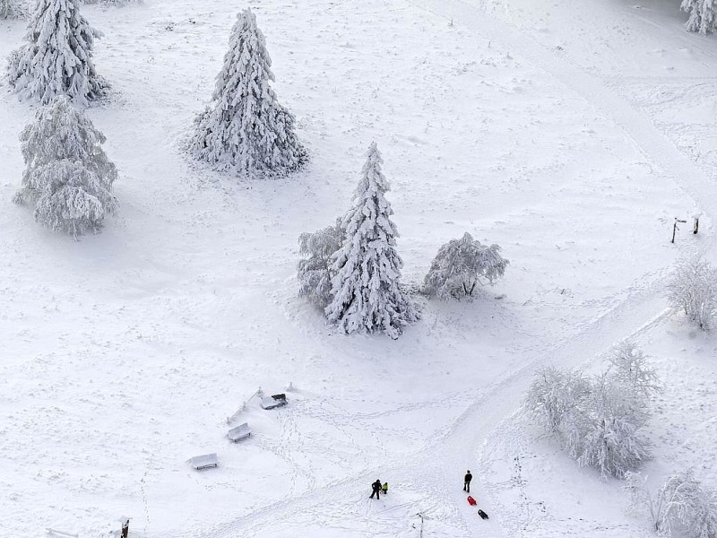 Spazieren auf dem Hochplateau des Kahlen Astens im Nebel.