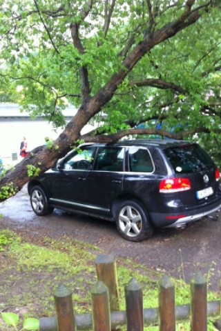 Ennepetal, Unwetter, 2013, Baum auf 2 Autos an Esbecker Straße