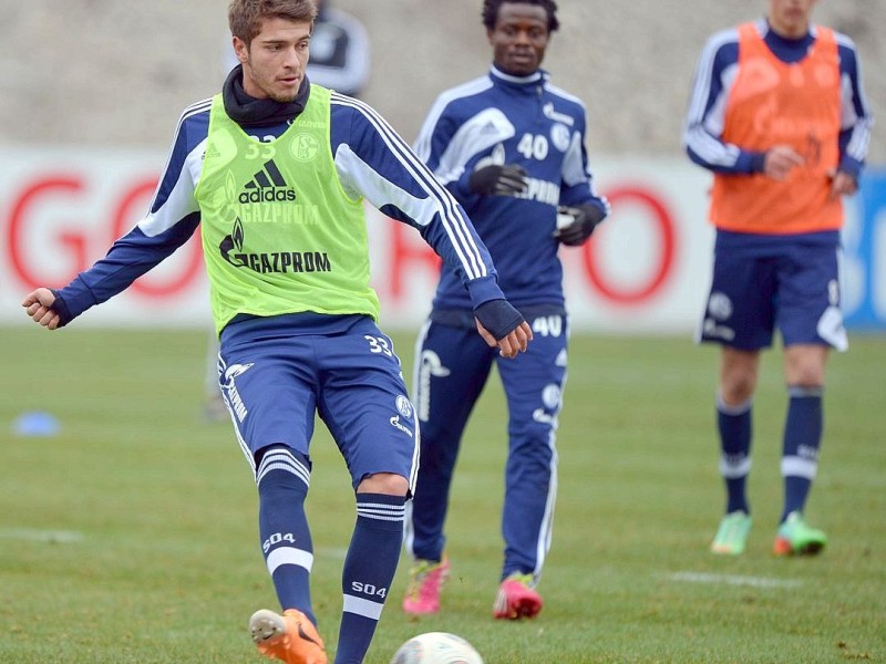 Training FC Schalke 04 am Donnerstag, 13.02.2014 in Gelsenkirchen.Im Bild Schalkes Roman Neustädter (l)Foto: Joachim Kleine-Büning/WAZ FotoPool