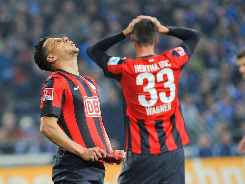 Die königsblauen Tore erzielten Chinedu Obasi und Klaas-Jan Huntelaar.