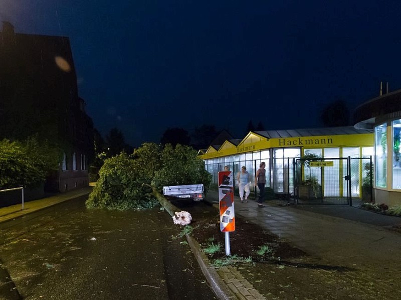 Essen Kettwig - Unwetter über Kettwig - eins der schwersten seit Kyrill - allein in der Brederbachstraße und Strängerstraße wurde vier Bäume abgeknickt - Foto: Reiner Worm / WAZ FotoPool