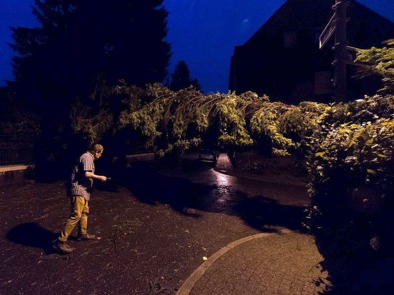 Essen Kettwig - Unwetter über Kettwig - eins der schwersten seit Kyrill - allein in der Brederbachstraße und Strängerstraße wurde vier Bäume abgeknickt. Christian Becker begutachtet den Schaden in der Strängerstraße - Foto: Reiner Worm / WAZ FotoPool