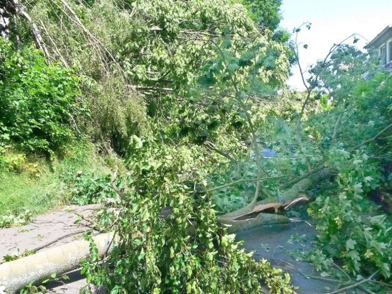 Unwetter Essen Leserfotos Fotos aus Kettwig Hallo WAZ Redaktion, die Fotos 08-11 wurden auf der Graf-Zeppelinstrasse in Kettwig gemacht es gab keine Verletzte. Die Bilder 19-22 sind auf der Nahestrasse entstanden, der Baum ist komplett entwurzelt und kippte auf die Strasse Unterlehberg und begrub dabei ein Fahrzeug. Viele Grüße Kosmas Lazaridis