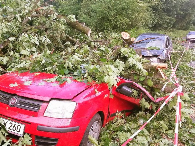 Unwetter Essen Leserfotos Fotos aus Kettwig Hallo WAZ Redaktion, die Fotos 08-11 wurden auf der Graf-Zeppelinstrasse in Kettwig gemacht es gab keine Verletzte. Die Bilder 19-22 sind auf der Nahestrasse entstanden, der Baum ist komplett entwurzelt und kippte auf die Strasse Unterlehberg und begrub dabei ein Fahrzeug. Viele Grüße Kosmas Lazaridis