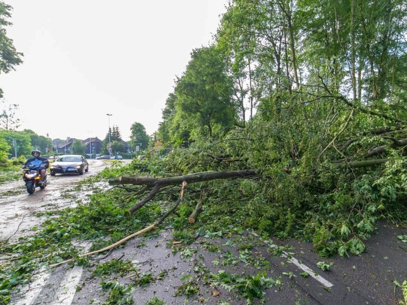 Essen Kettwig - Unwetter am Pfingstmontag - Sturmschäden - Mendener Straße - Foto: Reiner Worm / WAZ FotoPool