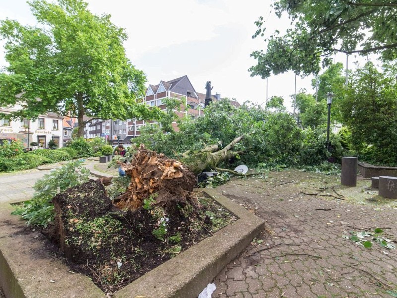 Essen Werden - Unwetter am Pfingstmontag - schwere Sturmschäden in Essen - Werden - Denkmal am Rathaus - Foto: Reiner Worm / WAZ FotoPool