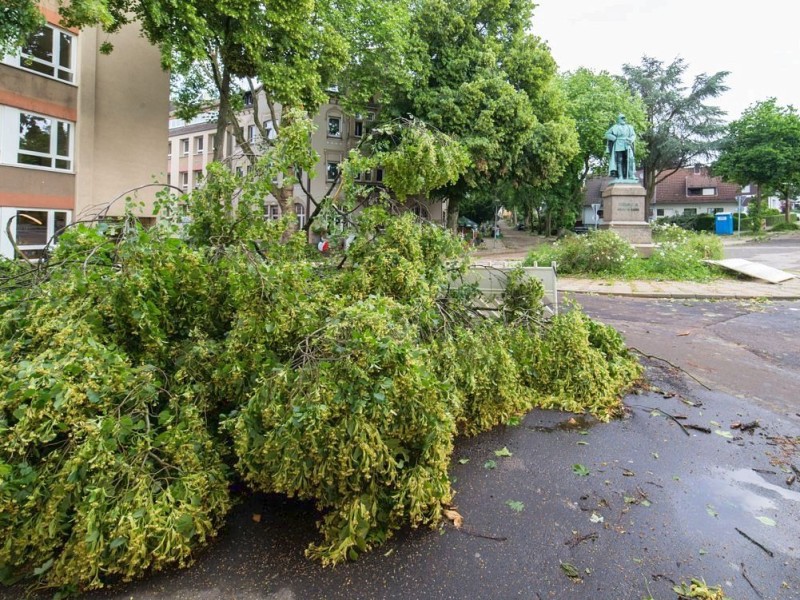 Essen Werden - Unwetter am Pfingstmontag - schwere Sturmschäden in Essen - Werden - Kaiser Friedrich Denkmal - Foto: Reiner Worm / WAZ FotoPool