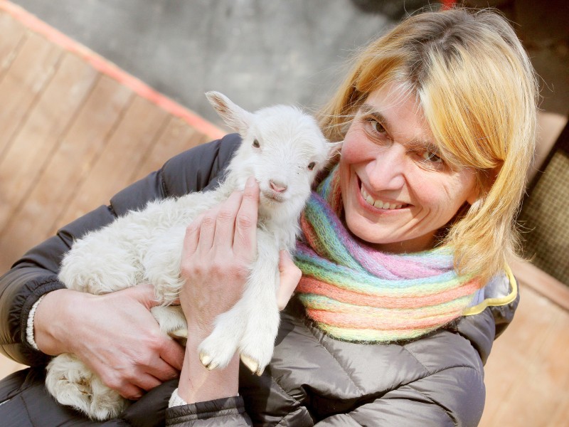 Eine vier Tage alte Moorschnucke auf dem Arm von der Leiterin des Tiergeheges Fr. Dr. Anette Perrey.