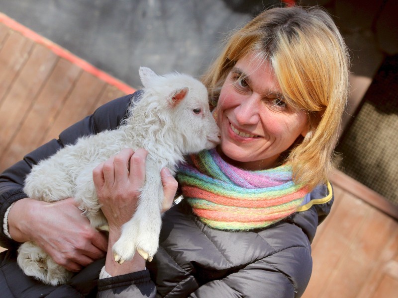 Eine vier Tage alte Moorschnucke auf dem Arm von der Leiterin des Tiergeheges Fr. Dr. Anette Perrey.