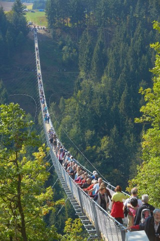 ...Die Brücke heißt Geierlay. Wer Höhenangst hat, sollte besser auf eine Überquerung verzichten...