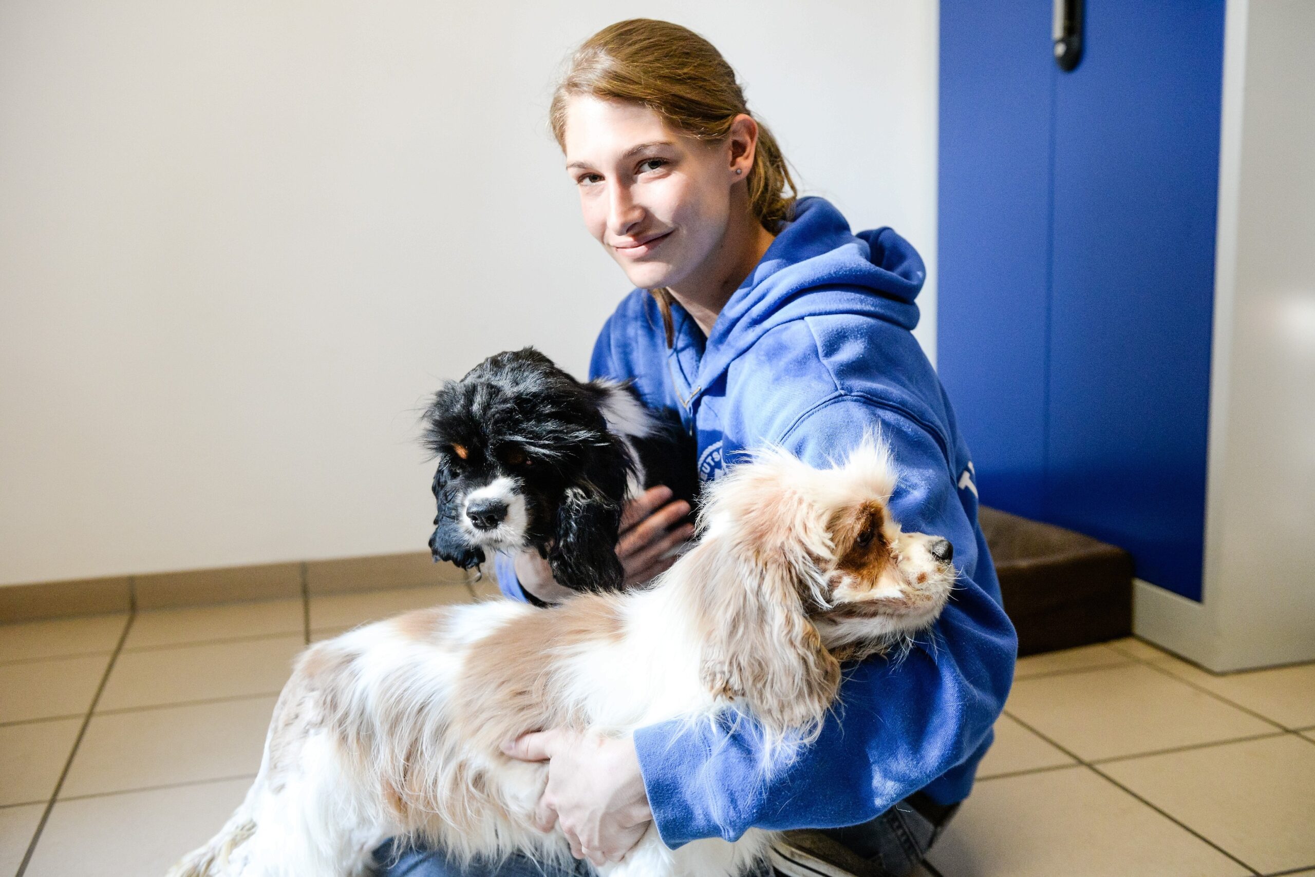 Im Tierheim in Kamp-Lintfort. Mitarbeiterin Katharina Schoth kümmert sich um die verwahrlost gefundenen zwei Hunde von der Rasse Cavalier King Charles Spaniel.     Foto: Volker Herold / FUNKE Foto Services