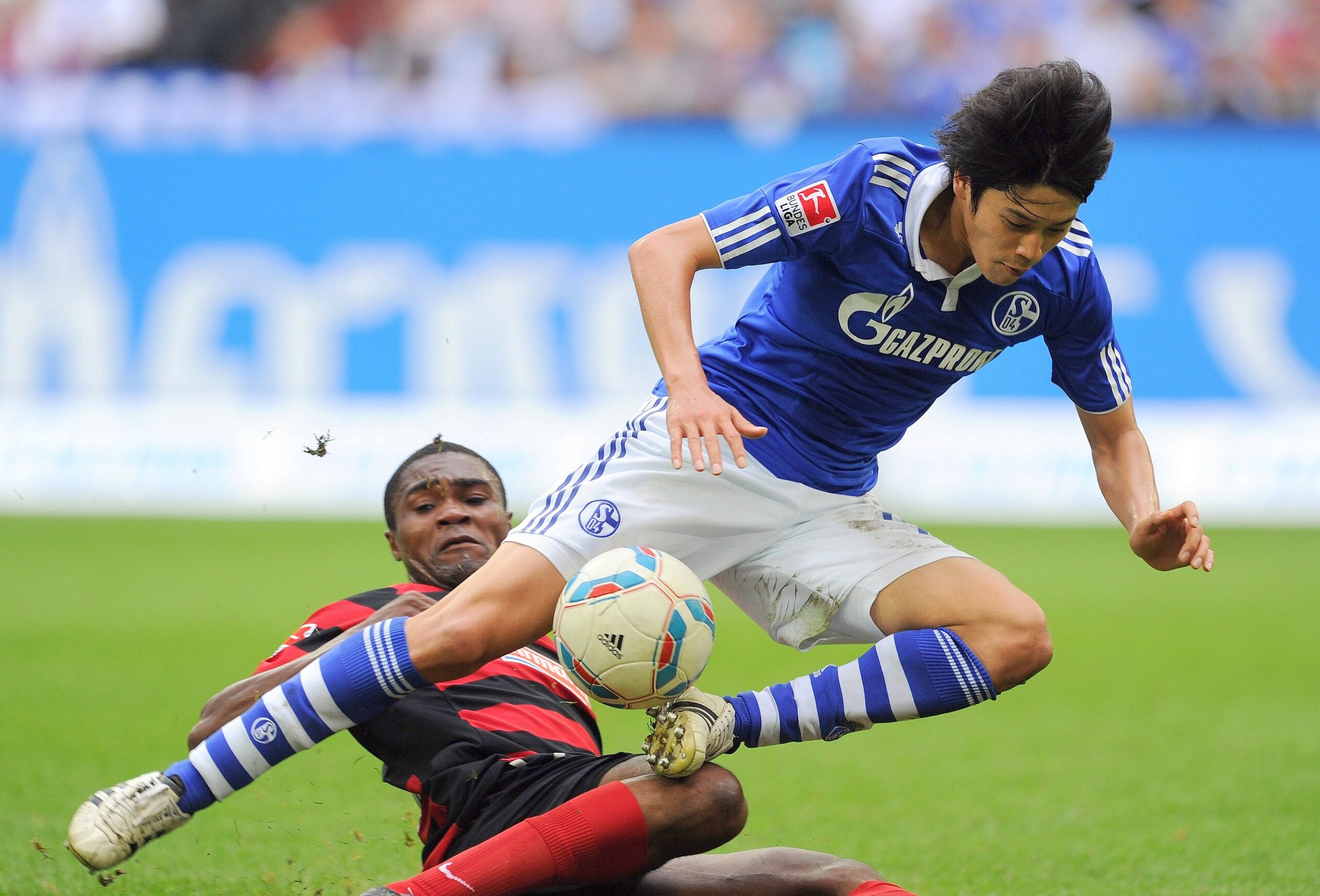 Schalke 04 gegen SC Freiburg, Endstand 4:2.