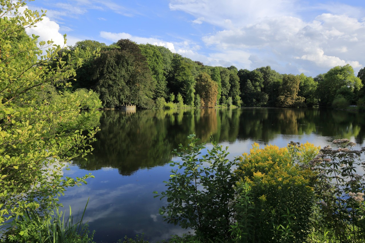 Im Rombergpark musst du unter anderem trotz sinkender Inzidenz weiterhin eine Maske tragen. 