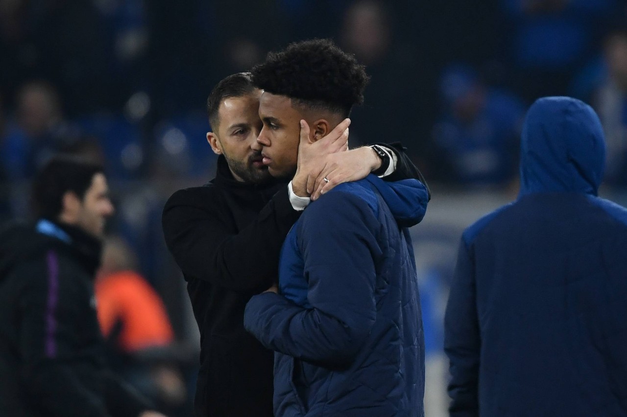 Beim FC Schalke 04 und bald wieder Arbeitskollegen? Weston McKennie (l.) und Domenico Tedesco.