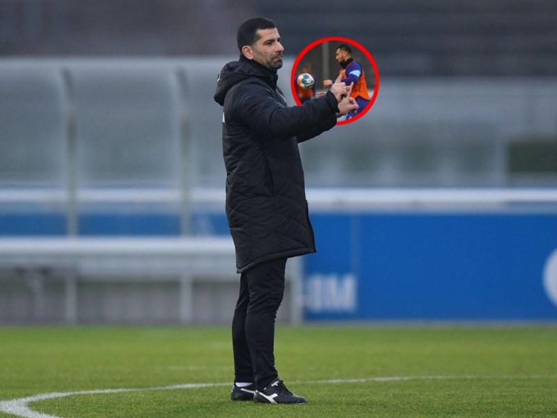 schalke 04 dadashov